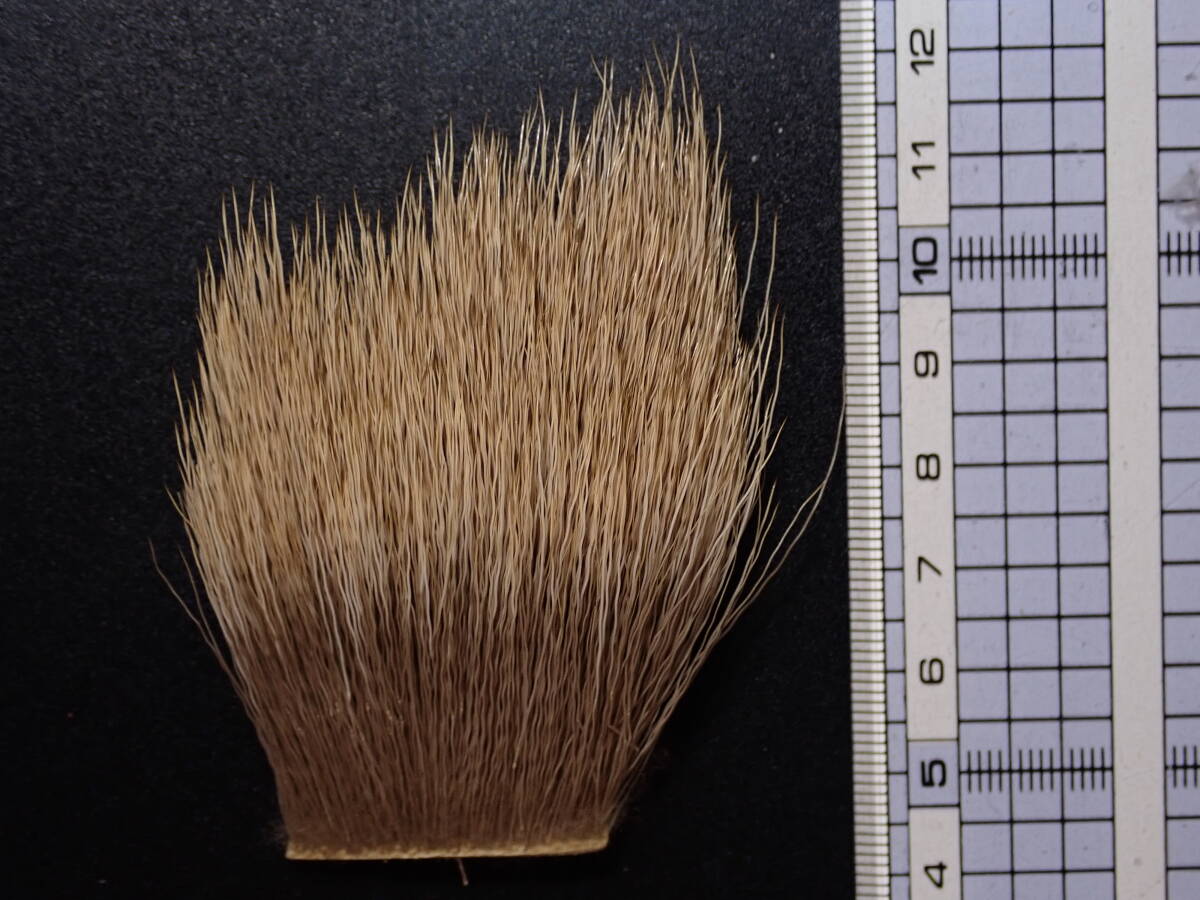 未使用品ホフマン・メッツハックル#3グレード Whiting Hackle