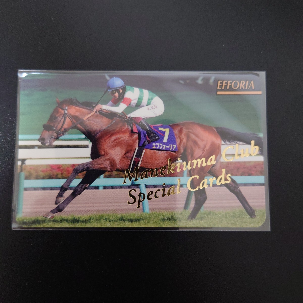 【希少】競馬 カード 24点 SSレア | カードショップ うるま屋