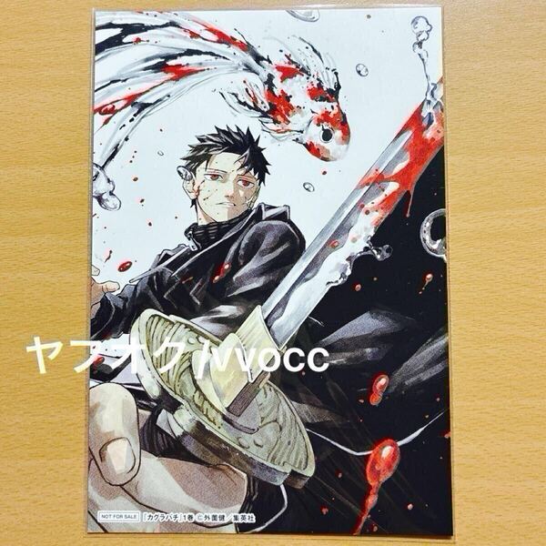 カグラバチ 1巻 特典 TSUTAYA イラストカード ポストカード
