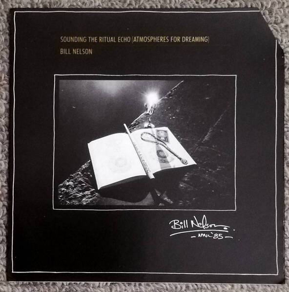 BILL NELSON SOUNDING THE RITUAL ECHO ビルネルソン