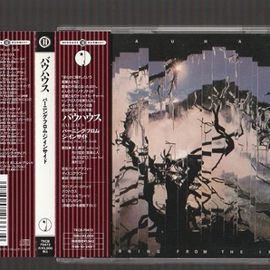 即決 美品 BAUHAUS バウハウス BURNING FROM THE INSIDE バーニング・フロム・ジ・インサイド (+4) TKCB-70472 国内盤CD 旧規格 帯付き