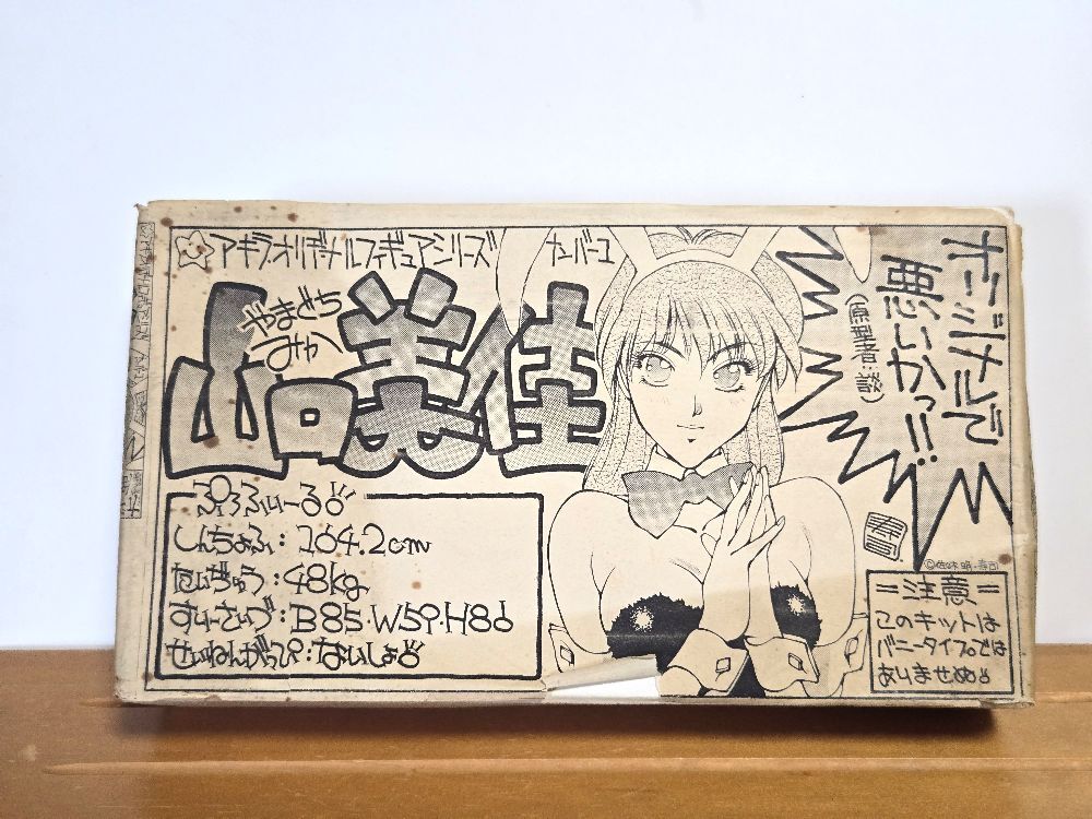 榊原陽子 オリジナルキャラクター P-UNIT ガレージキット 榊原陽子 オリジナルキャラクター P-UNIT ガレージキット 1/6