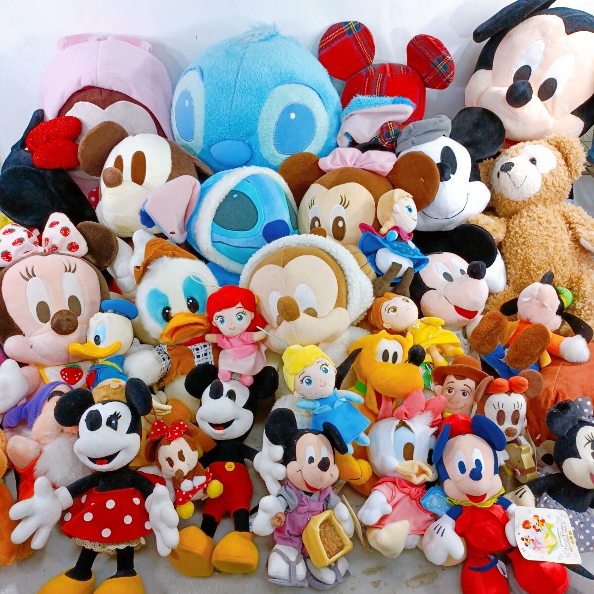 Disney ミッキーミニードナルド ぬいぐるみ まとめ売り 8体セット 稀少 2025年最新】Yahoo!オークション -ドナルド ぬいぐるみの中古品