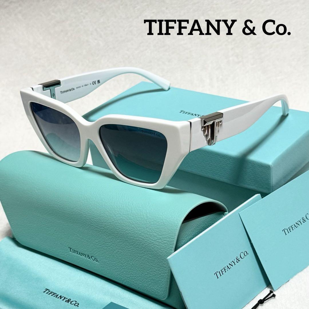 【新品未使用・タグ付き】ティファニー サングラス 新品未使用 ティファニー サングラス 黒 水色 TIFFANY&Co