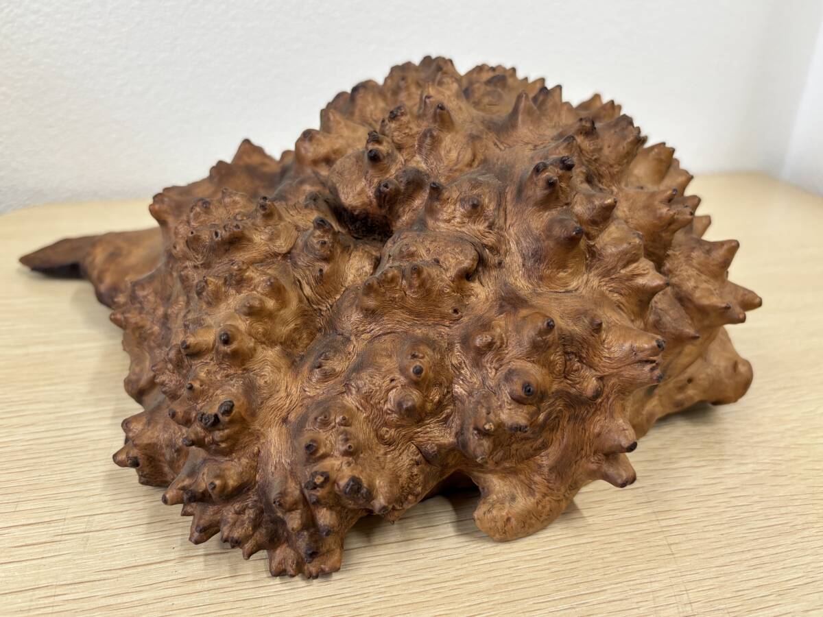 天然木根瘤 自然造形花器 置物 鑑賞木 瘤木 玉杢オブジェ 根木台 飾台 木目 2025年最新】Yahoo!オークション -木 瘤の中古品・新品・未使用
