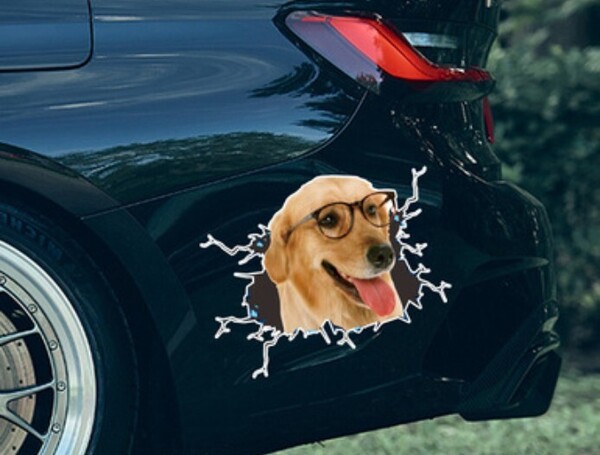 犬 ステッカー カーステッカー シール おもしろ 立体 車 新品 ウォールステッカー 3D 可愛い 飛び出す 未使用 ゴールデンレトリバー
