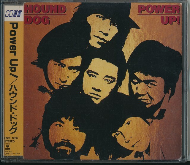 HOUND DOG ハウンドドッグ　レコード11枚セット Amazon.co.jp: 11 Rooms For Sky: ミュージック