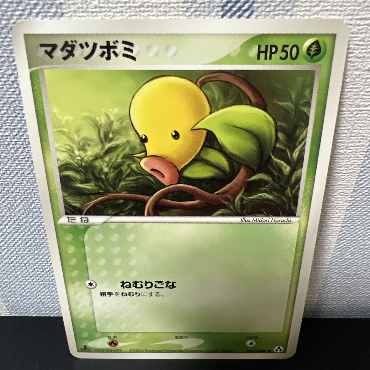 2025年最新】Yahoo!オークション -まぼろしの森の中古品・新品