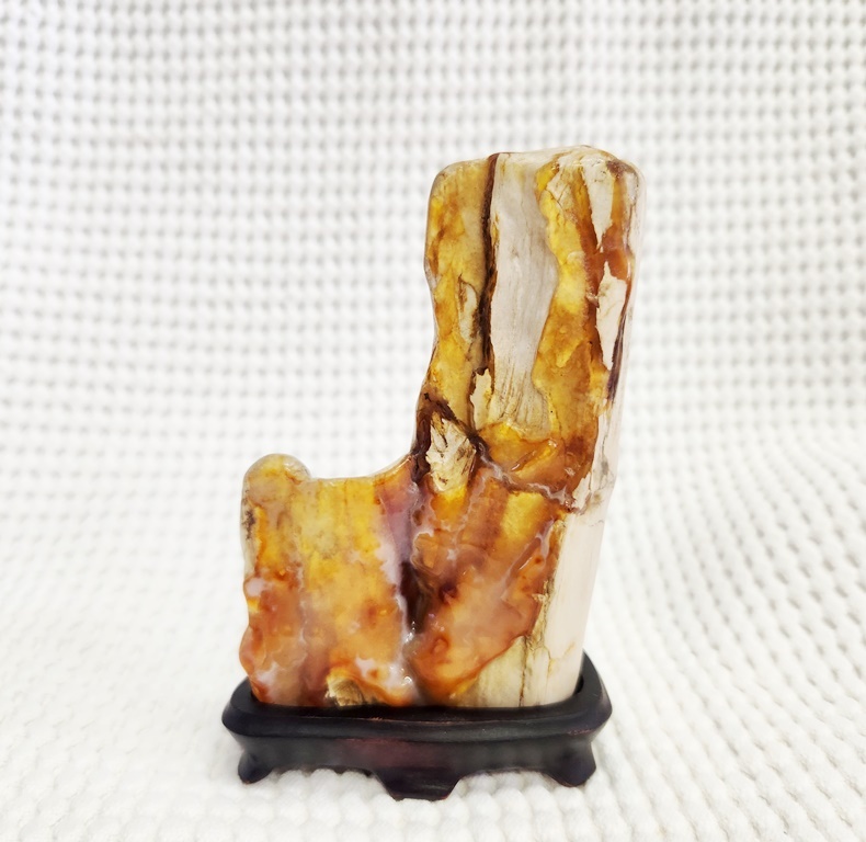 2025年最新】Yahoo!オークション -アンモナイト 北海道の中古品