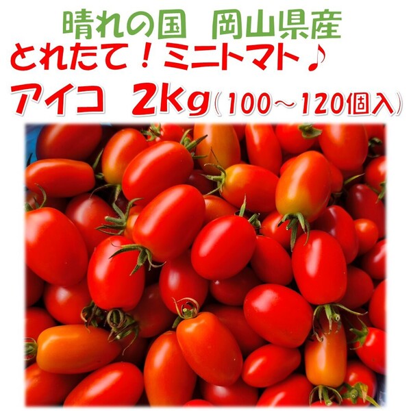 皮パリ食感!ミニトマト『岡山県産』2kg(概ね100~120個程度)