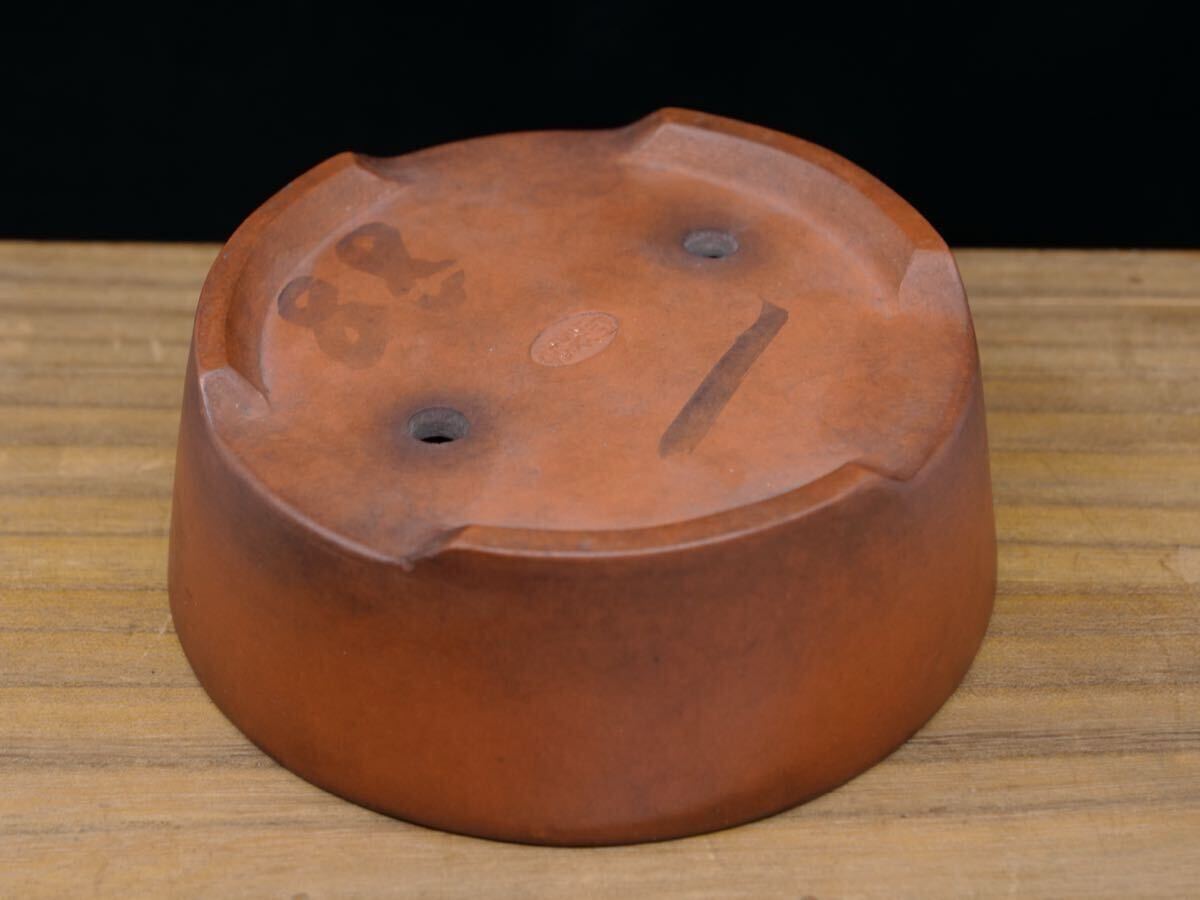中国古玩 盆栽鉢 盆器 六角鉢 植木鉢 松柏 在銘 在印 唐物 骨董 時代物 2025年最新】Yahoo!オークション -中国 盆栽鉢の中古品・新品