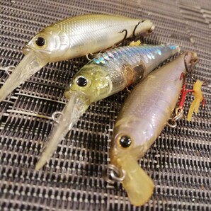 ラッキークラフト ビーフリーズ 65 sp ショートビル ビーフリーズ 65 sp ロングビル x2, 3個セット