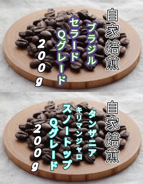 【ブラジル】セラード【タンザニア】スノートップ 自家焙煎コーヒー豆 各200g(自家焙煎 コーヒー豆 コーヒー)