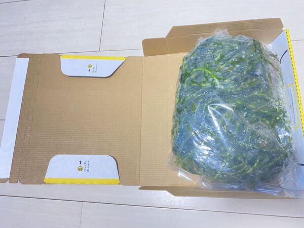 無農薬 アナカリス オオカナダモ 宅急便コンパクトの箱いっぱいに入れて 即決価格 金魚 メダカ エビザリガニ熱帯魚餌隠れ家産卵藻