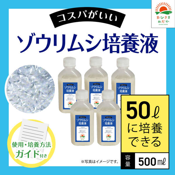 高コスパ【ゾウリムシ培養液 500ml 50L培養分 送料無料】メダカ めだか 金魚 ミジンコ ミドリムシ クロレラ 針子 PSB 培養に
