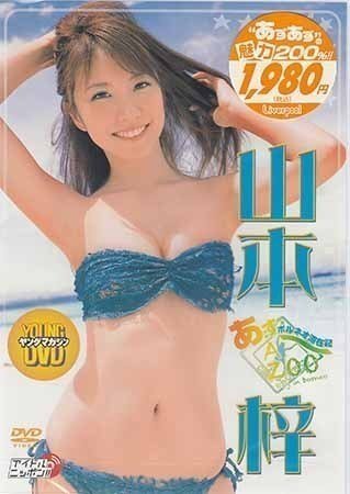 山本梓 ヤングチャンピオン烈 応募者全員サービス DVD 2025年最新】Yahoo!オークション -山本 梓(DVD)の中古品・新品