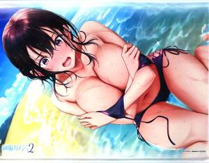 PC/PS4/Switch 制服カノジョ2 WonderGOO限定 実桜との夏の思い出セット 同梱特典 八尋実桜 B2タペストリー