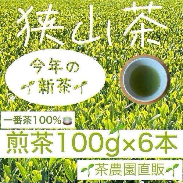 【新茶】狭山茶☆茶畑直販☆煎茶6本(令7年産)一番茶100%☆深蒸し茶 緑茶 日本茶 お茶 お茶の葉 茶葉 本年度産2025☆準無農薬