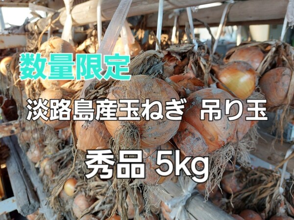 数量限定 産地直送 淡路島産玉ねぎ 吊り玉 ターザン 5kg