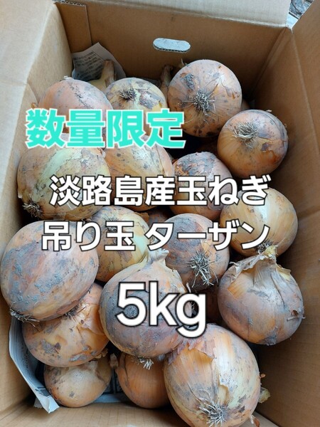 数量限定 産地直送 淡路島産玉ねぎ 吊り玉 ターザン 5kg