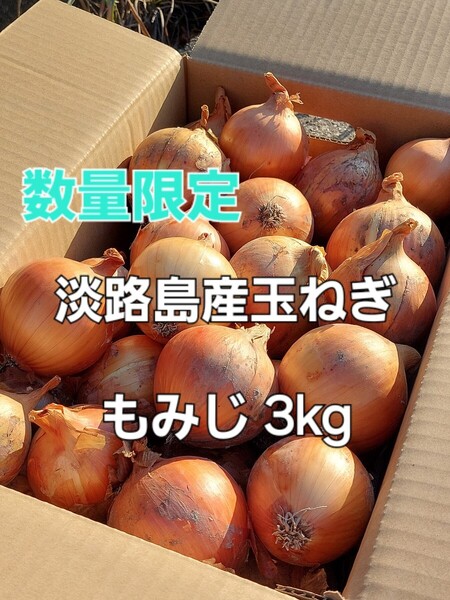 数量限定 産地直送 淡路島産玉ねぎ ターザン 3kg