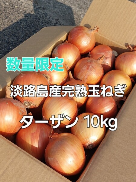 数量限定 産地直送 淡路島産完熟玉ねぎ 吊り玉 ターザン 10kg