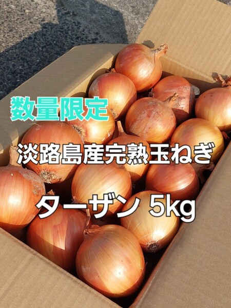 数量限定 産地直送 淡路島産完熟玉ねぎ 吊り玉 ターザン 5kg