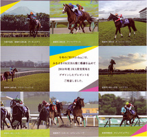 JRA 日本中央競馬会 2019 WINS day ウインズデー オリジナルグッズ マルチクロス オジュウチョウサン 配布品 未使用_画像5