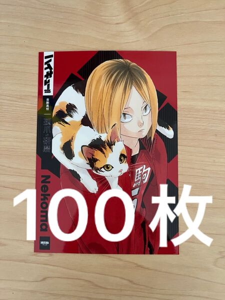 ハイキュー 渋谷ジャック 孤爪研磨 ブロマイド 書店ジャック 音駒