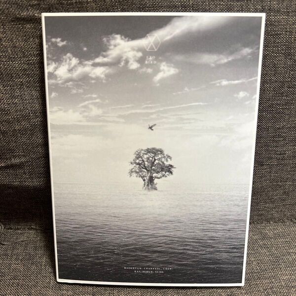 EXO BIRD CD DVD FC限定 ①