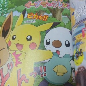 小学一年生 渡辺麻友、AKB48 向井理記事 ポケモン漫画