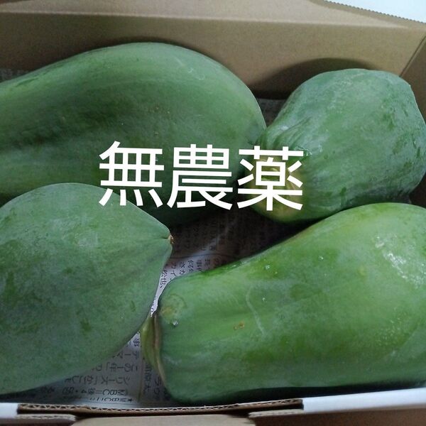 青パパイヤ 自然栽培