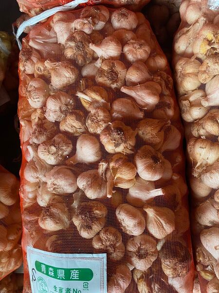 青森にんにく20Kg