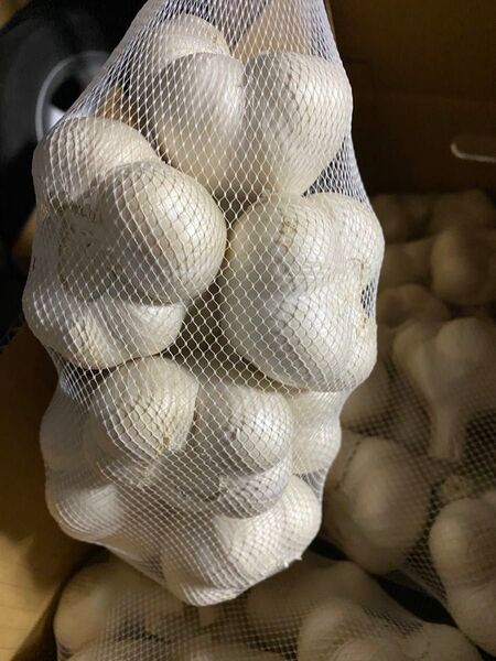 青森にんにく5Kg2L 良品