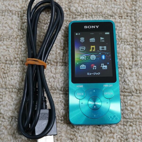 SONY WALKMAN ウォークマン S10シリーズ NW-S14(L) ブルー (#4)