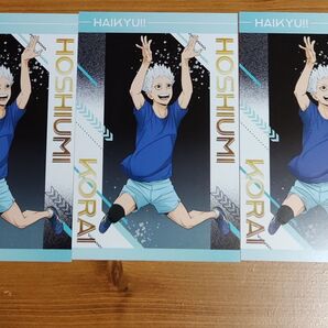 【ハイキュー!!】アニメイト特典 ポスカ
