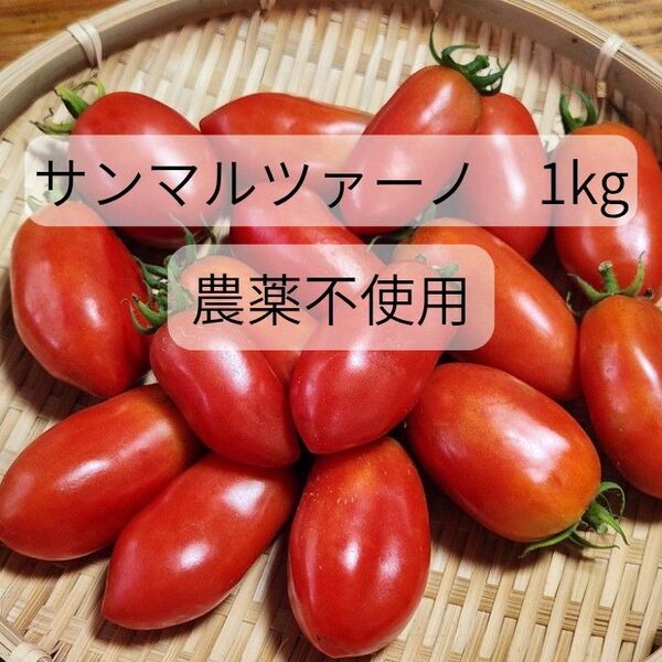 サンマルツァーノ1kg農薬不使用 イタリアントマトミニトマト