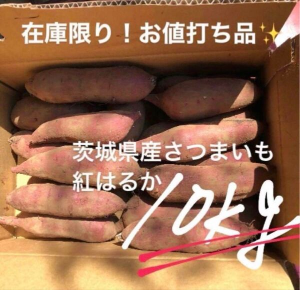 【訳あり】茨城県産さつまいも紅はるか10kg