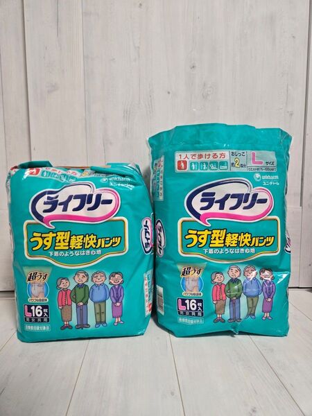 大人用紙おむつ パンツ L2袋