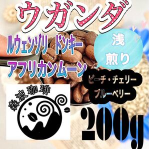 自家焙煎・受注後焙煎●スペシャリティコーヒー豆 200g ウガンダ ルウェンゾリ アフリカンムーン ナチュラル 浅煎り