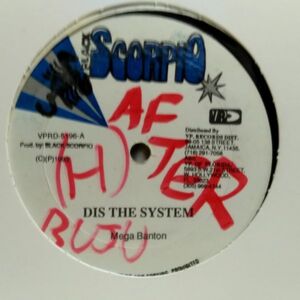 12inchレコード　 MEGA BANTON / DIS THE SYSTEM