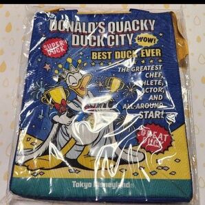 2024 ディズニーランド パルパルーザ ドナルド スーベニアランチケース