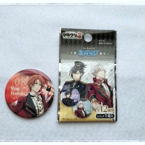 追跡有匿名配送 100均 セリア ツキウタ TUKIUTA 缶バッジ 葉月 陽