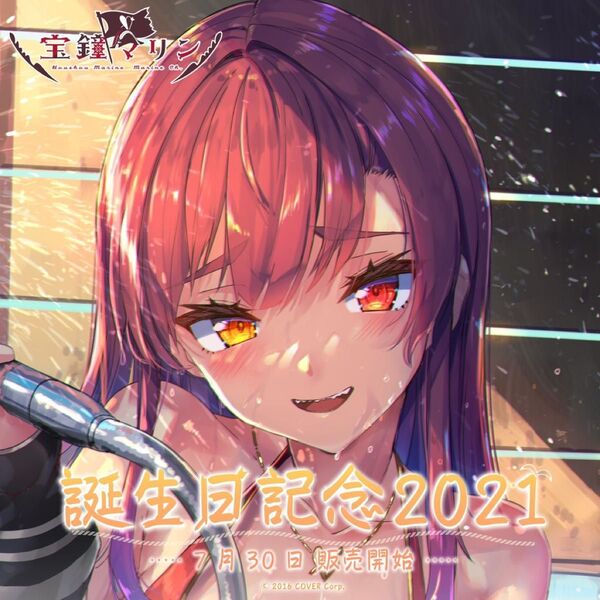 【直筆特典】宝鐘マリン 誕生日記念2021 誕生日記念フルセット 数量限定ver. サイン ホロライブ hololive 直筆