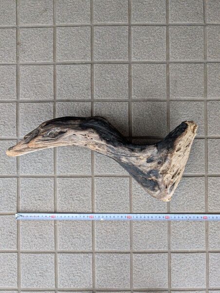 北海道 流木 鳥の形状 白鳥 サギ カモ アヒル 30cm インテリア オブジェクト