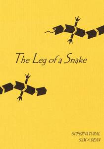 ●スーパーナチュラル 同人誌「The Leg of a Snake」金色蝙蝠●S×D