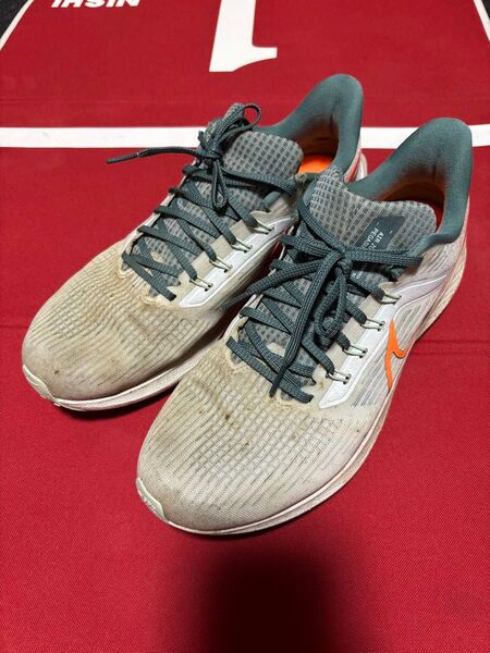 ペガサス39 29cm NIKE ナイキ