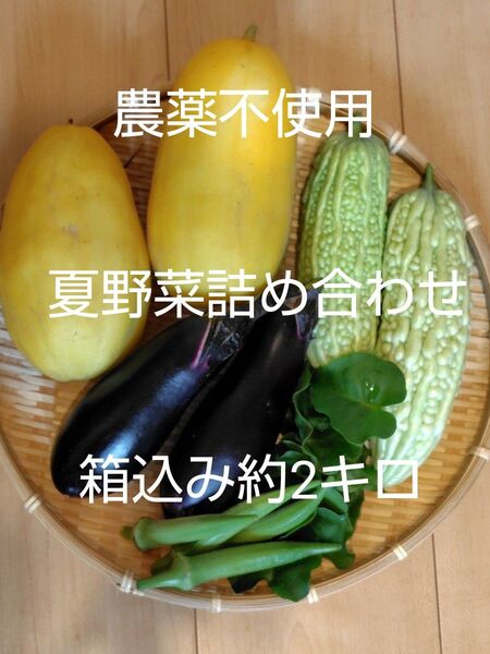 夏野菜詰め合わせ 箱込み2キロ農薬不使用 白ゴーヤ マクワウリ 丸オクラ なす オカワカメ