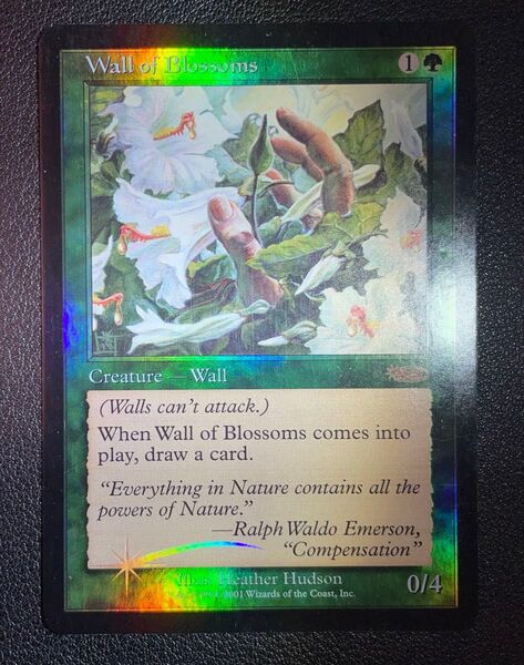 花の壁 foil MTG 英語版 FNM 旧枠 プロモ