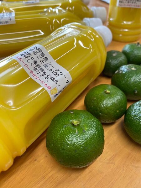 沖縄県産青切りシークヮーサー果汁100% 500ml 3本セットペットボトル 大宜味産
